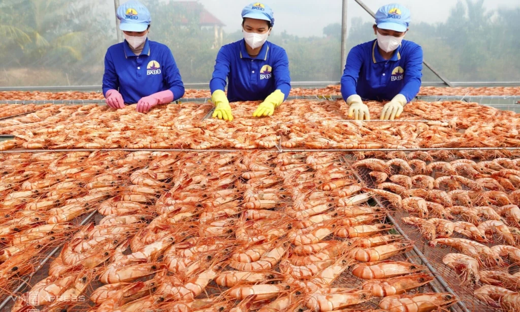 Những ngành học lấy điểm chuẩn suýt soát tuyệt đối
